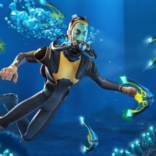 Subnautica Companion Sebastian Budde